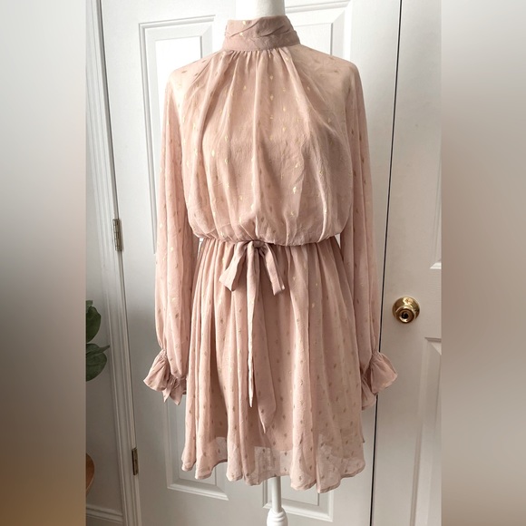 She + Sky Blush & Gold Long sleeve Dress Size S - Picture 5 of 11